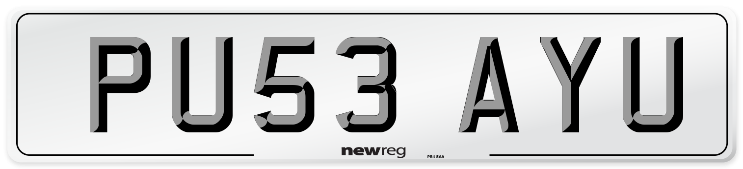 PU53 AYU Number Plate from New Reg